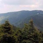 Day Hike at Mount Mitchell State Park