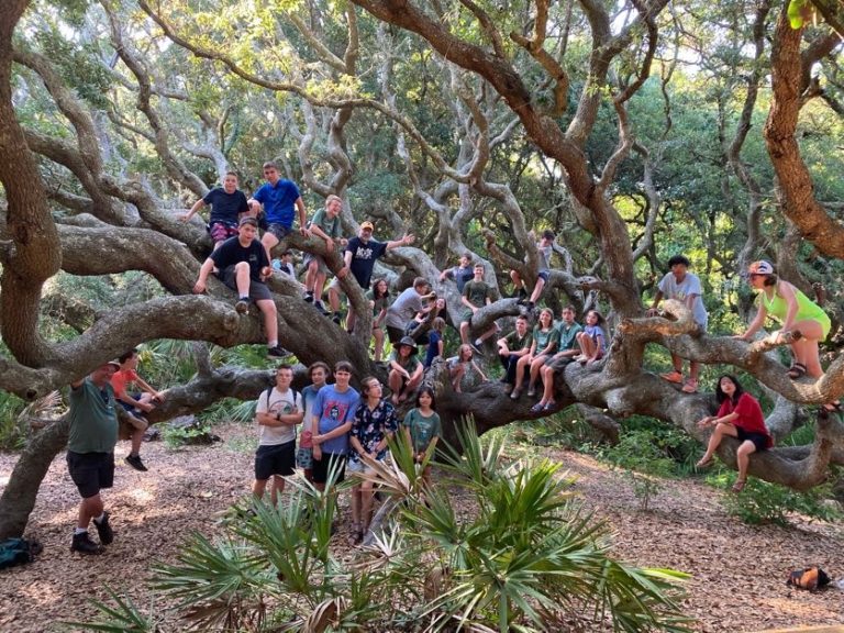 Scouts climbing the branches of a huge live oak on Cumberland Island