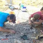 Tennessee Fossil Hunt