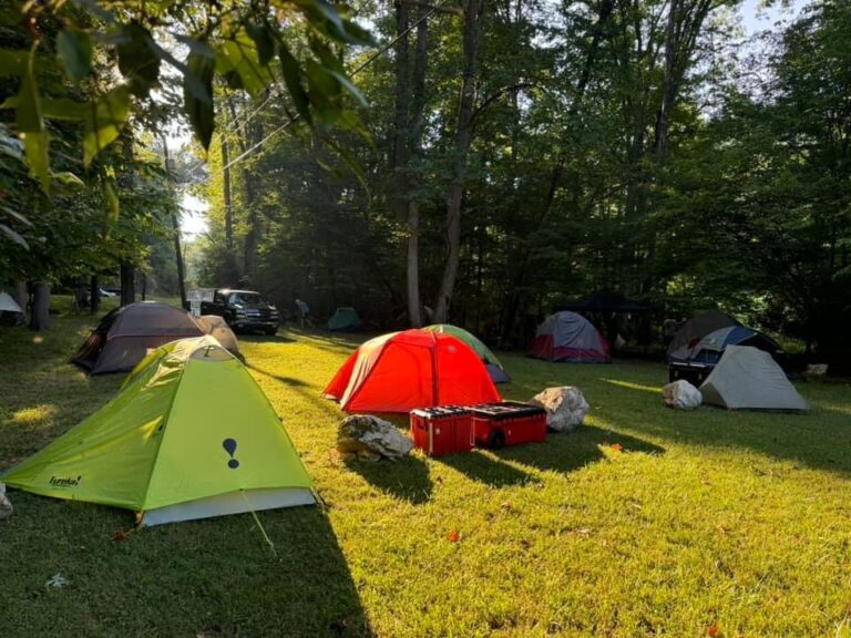Tents pitched at a wooded campsite
