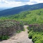 Hasbrouck Memorial Hike