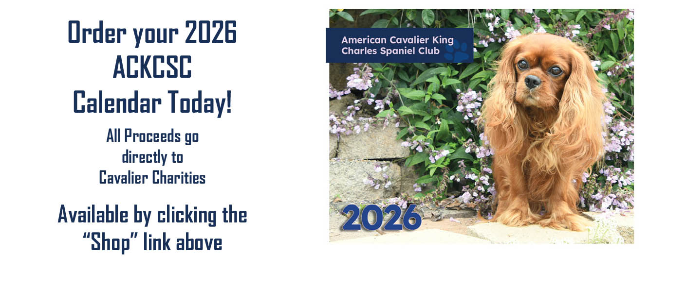 Meadowview Dog Show: American Cavalier King Charles Spaniel Club