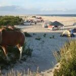 Assateague Island Super Trip